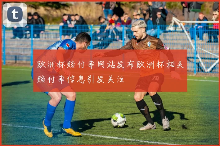 欧洲杯赔付率网站发布欧洲杯相关赔付率信息引发关注