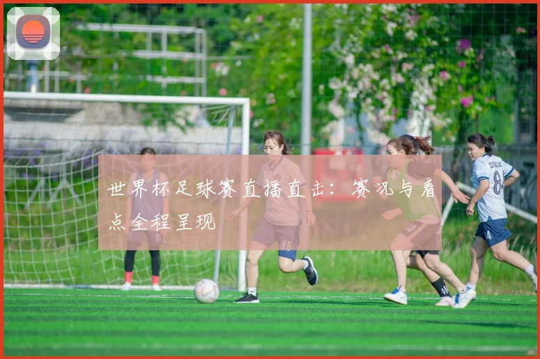 世界杯足球赛直播直击：赛况与看点全程呈现