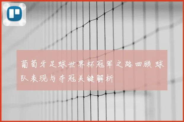 葡萄牙足球世界杯冠军之路回顾 球队表现与夺冠关键解析